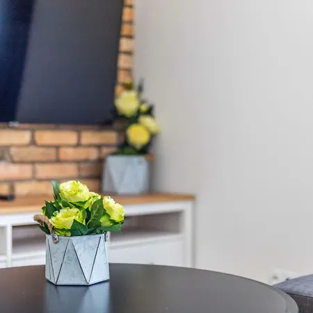 Apartment Victus Spacious In The Center By Renters Zoppot