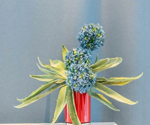 Victus Apartamenty, Victus Appartamento Sopot